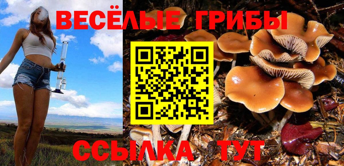 Галлюциногенные грибы мицелий Добрянка