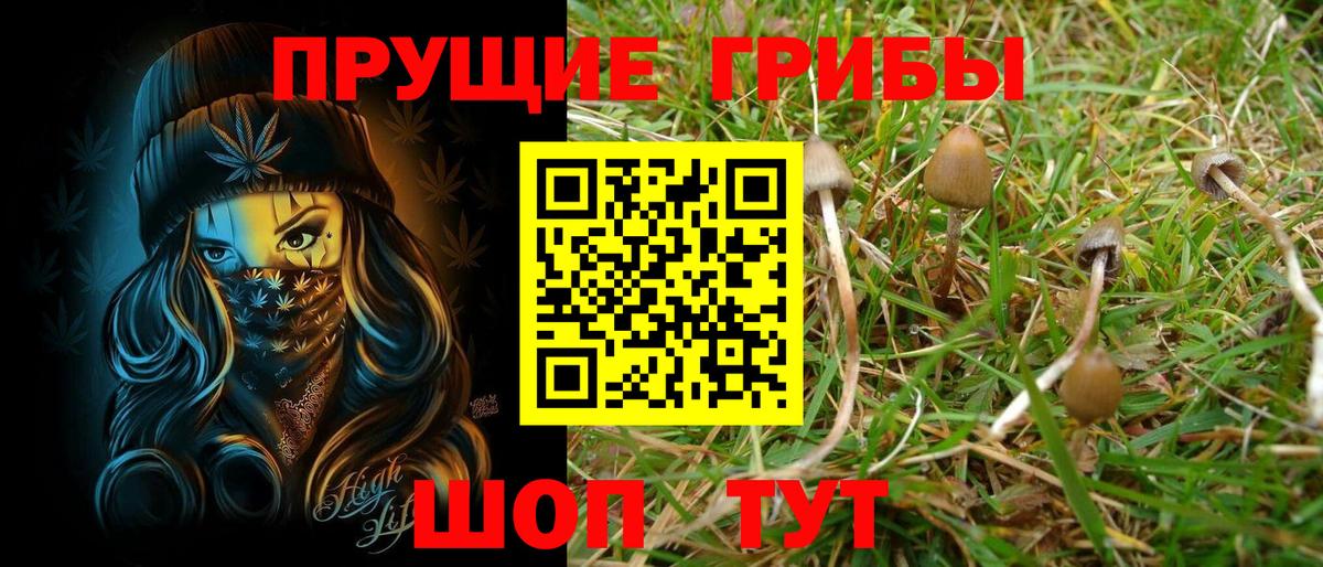 Галлюциногенные грибы Magic Shrooms  Вход с VPN  Добрянка  Галлюциногенные грибы Magic Shrooms 